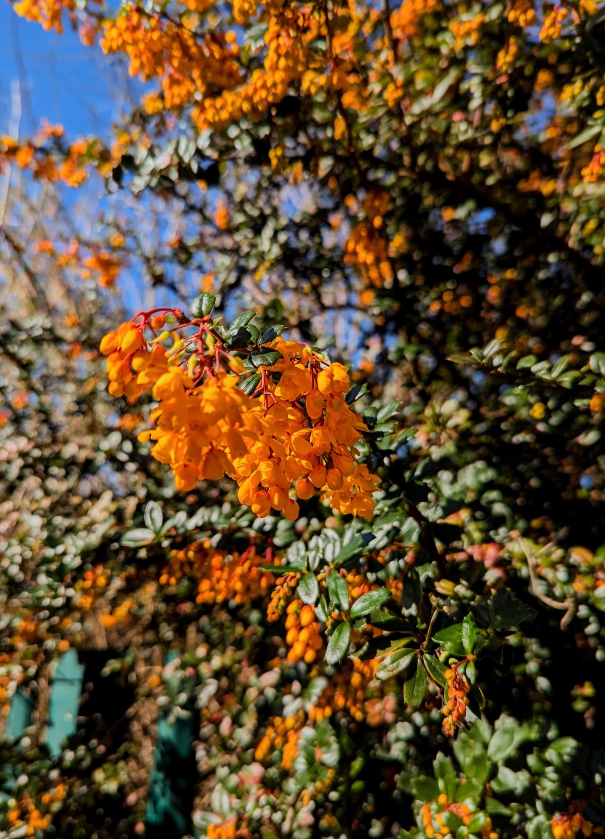 People I have and haven’t&nbsp;met